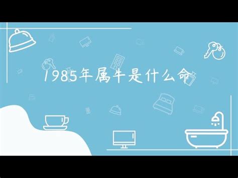 1985 屬什麼